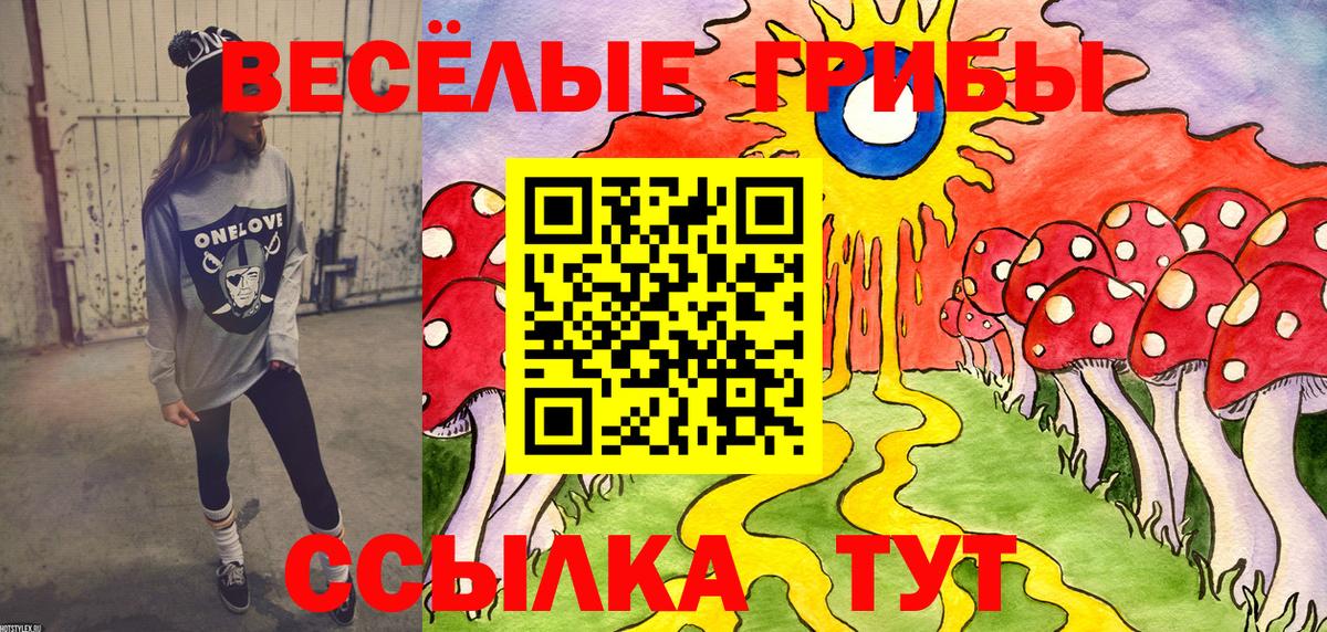Звенигород  Галлюциногенные грибы Psilocybine cubensis  Вход с VPN 