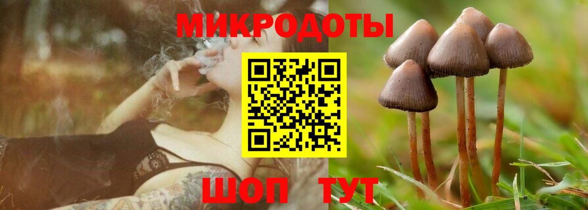 Псилоцибиновые грибы мицелий Звенигород